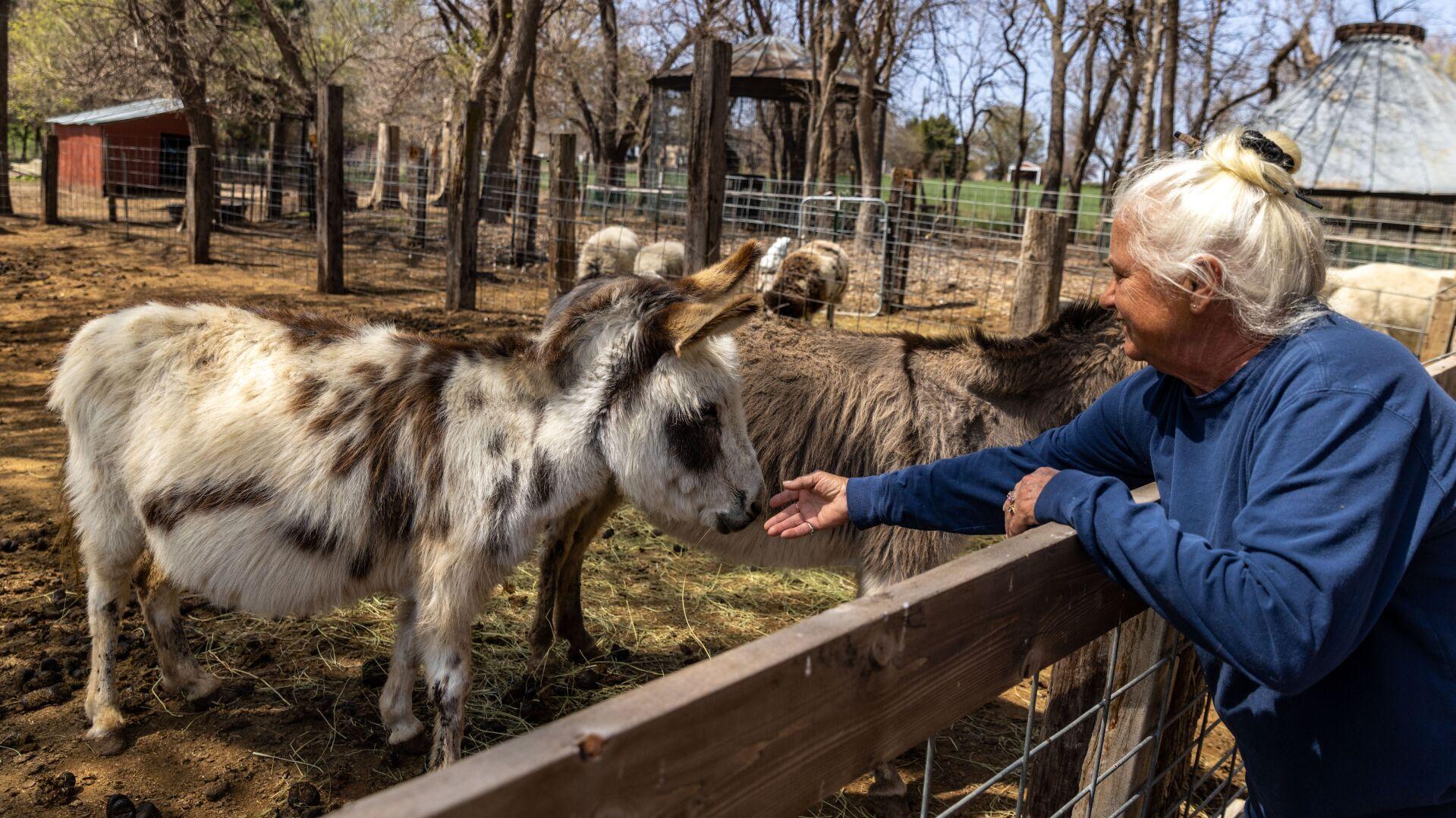 Old Poor Farm in Dodge County is part history lesson, part animal sanctuary